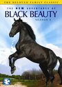 The New Adventures of Black Beauty (1990) кадры фильма смотреть онлайн в хорошем качестве