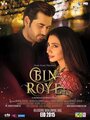 Смотреть «Bin Roye» онлайн фильм в хорошем качестве