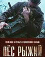 Пёс рыжий (2016) кадры фильма смотреть онлайн в хорошем качестве