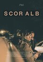 Scor Alb (2015) кадры фильма смотреть онлайн в хорошем качестве