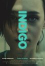 Indigo (2016) скачать бесплатно в хорошем качестве без регистрации и смс 1080p