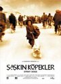 Бродячие собаки (2004) скачать бесплатно в хорошем качестве без регистрации и смс 1080p