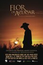 Flor de Azúcar (2016) кадры фильма смотреть онлайн в хорошем качестве