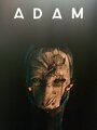 Adam (2016) скачать бесплатно в хорошем качестве без регистрации и смс 1080p