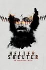 Helter Skelter: Американский миф