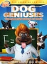 Смотреть «Dog Geniuses» онлайн в хорошем качестве