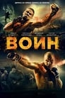 Воин (2015) кадры фильма смотреть онлайн в хорошем качестве