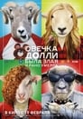 Овечка Долли была злая и рано умерла (2015) кадры фильма смотреть онлайн в хорошем качестве