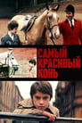 Самый красивый конь (1977) скачать бесплатно в хорошем качестве без регистрации и смс 1080p