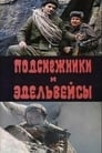 Подснежники и эдельвейсы