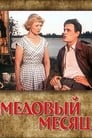 Смотреть «Медовый месяц» онлайн фильм в хорошем качестве