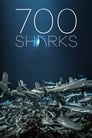 700 акул (2018) кадры фильма смотреть онлайн в хорошем качестве