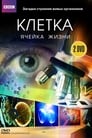 BBC: Клетка (2009) трейлер фильма в хорошем качестве 1080p